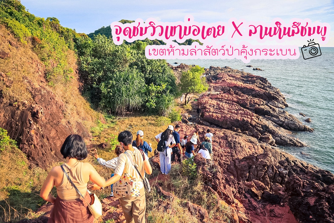 จุดชมวิวเขาบ่อเตย X ลานหินสีชมพู เขตห้ามล่าสัตว์ป่าคุ้งกระเบน จันทบุรี