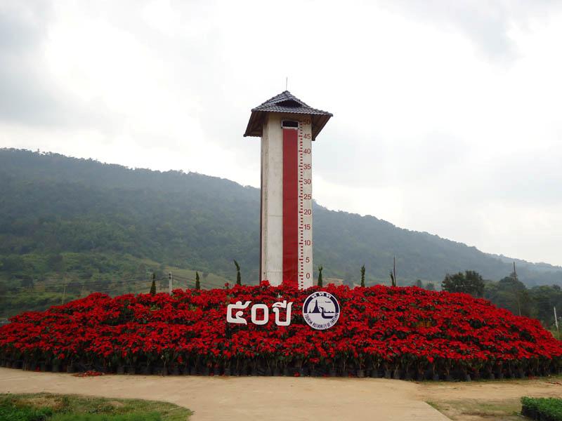 เทศกาลไม้ดอกเมืองหนาว อ.ภูเรือ อร่อยกับอาหารปลอดสารพิษ รื่นเริงชีวิตรับปีใหม่ไร้แอลกอฮอล์...