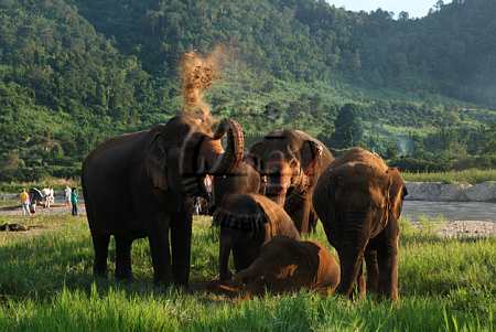 ประเทศไทยติดอันดับด้านการท่องเที่ยวยอดนิยมหลายประเภท จากการโหวตของนักท่องเว็บทั่วโลก