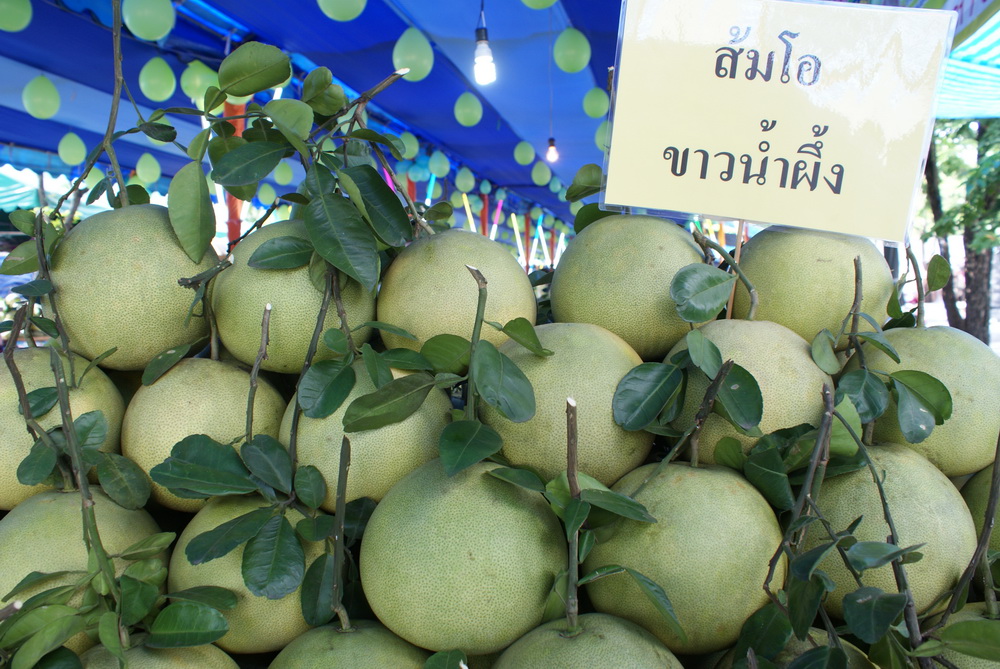 ขอเชิญเที่ยวงาน วันส้มโอมณฑลนครชัยศรี จังหวัดนครปฐม ครั้งที่ 13 ประจำปี 2554