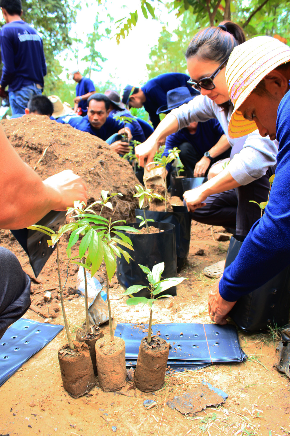 12 มิถุนายน ขอเชิญนักท่องเที่ยวหัวใจใหม่ ร่วมปลูกป่า ทำฝายผสมผสาน ทำโป่งเทียม ณ อุทยานแห่งชาติแก่งกระจาน อ.แก่งกระจาน จ.เพชรบุรี