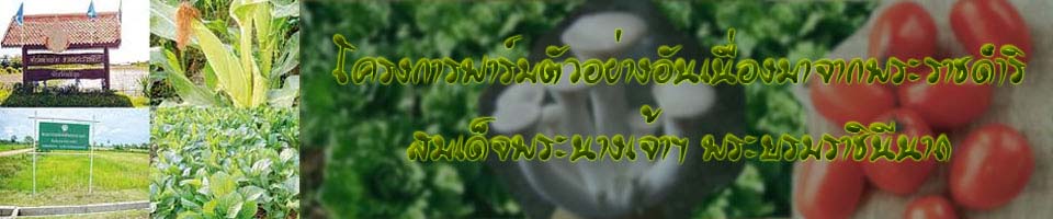 ฟาร์มตัวอย่าง อันเนื่องมาจากพระราชดำริฯ หนองงูเห่า