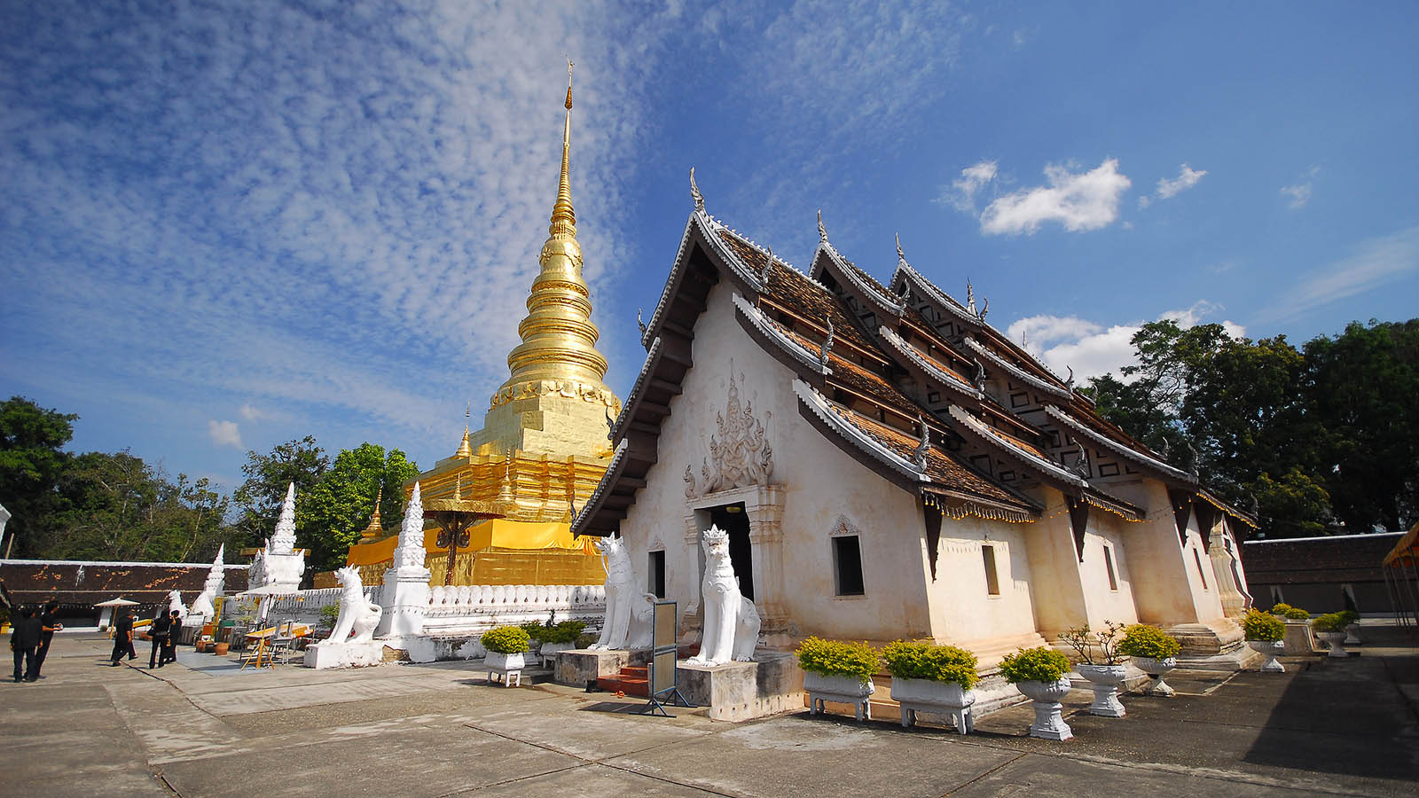 ททท.สำนักงานแพร่เชิญร่วมงาน “ประเพณีหกเป็ง นมัสการพระมหาธาตุเจ้าภูเพียงแช่แห้ง           ประจำปี ๒๕๕๔” ณ วัดพระธาตุแช่แห้ง พระอารามหลวง